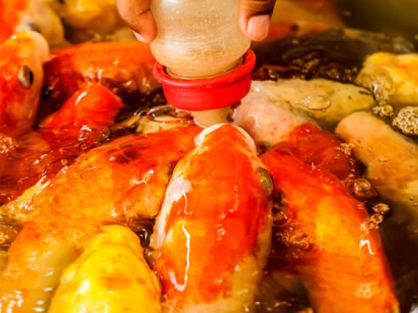 ABO 12x/Jahr 10 kg CHIKARA Basic 5/3 mm schwimmend/sinkend